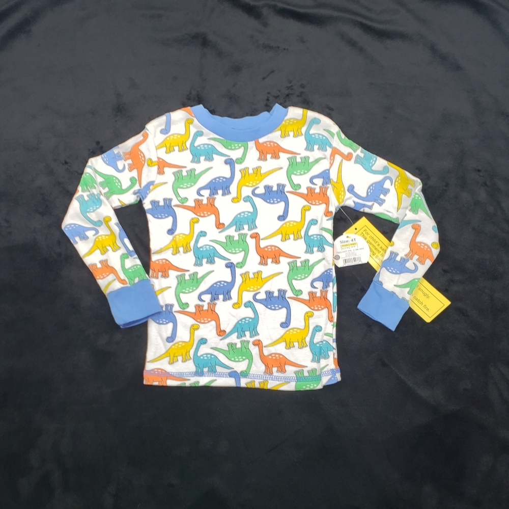 Childrens Dinosaur Long Sleeve Pullover Shirt Top Size 4T Swiggles Toddler